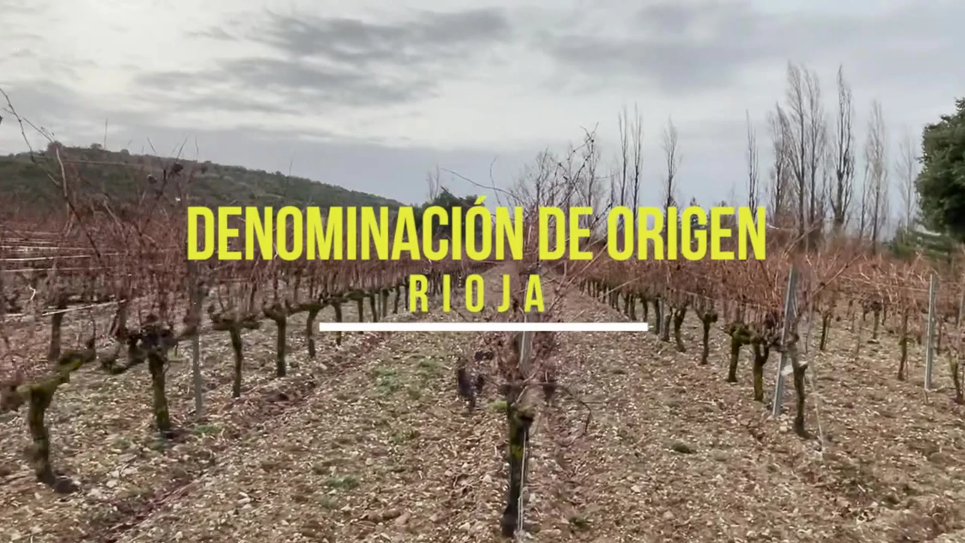 Denominación de Origen La Rioja