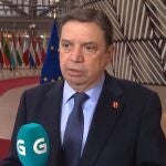 El ministro de Agricultura, Pesca y Alimentación, Luis Planas, en el Consejo de Pesca de la UE