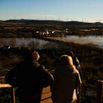 Terrenos del municipio de Tudela, inundados por la crecida del río Ebro