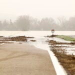La crecida extraordinaria del río Ebro llega a una carretera, a 13 de diciembre de 2021, en Gallur, Zaragoza, Aragón (España). La punta de la crecida extraordinaria del río Ebro se aproxima a la comunidad aragonesa