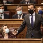 El líder del PP, Pablo Casado, interviene en una sesión plenaria celebrada en el Congreso de los Diputados
