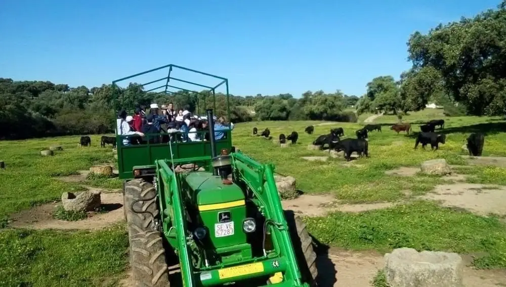Hace cuatro años que se adaptó la finca a las visitas. EFE/Ganadería Soto de la Fuente
