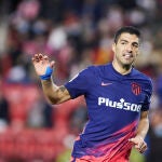 Luis Suarez