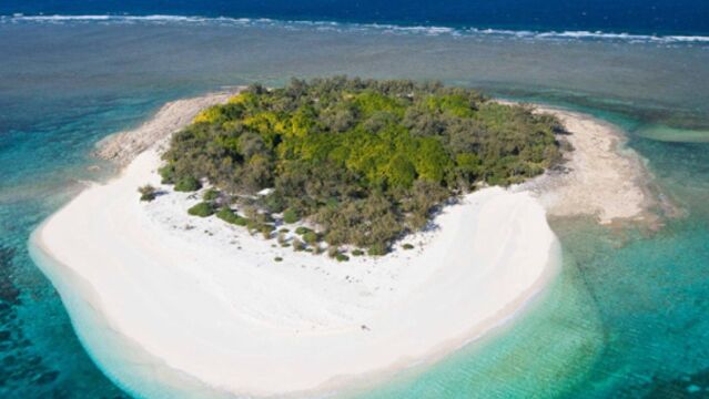 El Reino Gay y Lésbico del Mar de Coral fue una micronación que se excindió de Australia para que se reconocieran los derechos de los homosexuales El Reino Gay y Lésbico del Mar de Coral fue una micronación que se excindió de Australia para que se reconocieran los derechos de los homosexuales