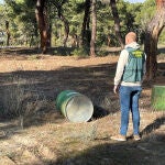 Detenido por hurtar 34 bidones de resina en un pinar de Dehesa Mayor (Segovia), con un valor de 7.000 euros