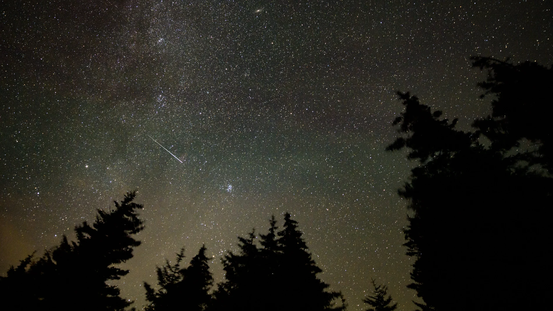 Lluvia de estrellas, concretamente Perseidas de 2021, fotografiadas por Bill Ingalls para la NASA el 11 de agosto desde Spruce Knob, en Virginia Occidental.