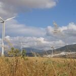 La energía eólica tiene cada vez más implantación en Andalucía