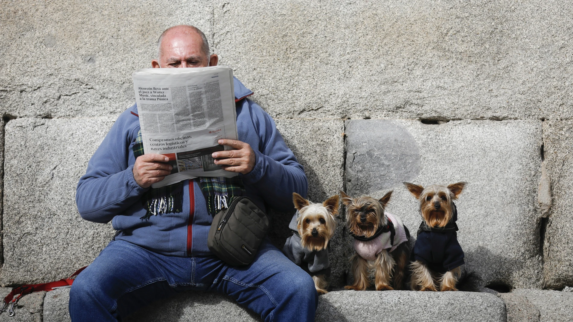Imagen de un hombre leyendo el periódico en una plaza de La Latina, junto a sus tres perros.