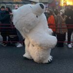 Un oso polar desnucado de la cabalgata de Cádiz