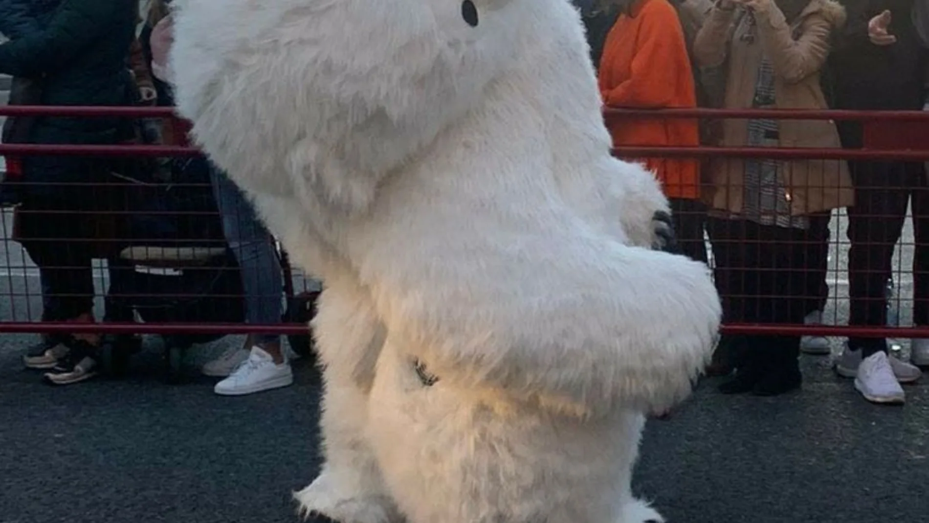 Un oso polar desnucado de la cabalgata de Cádiz