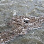 Un río muy contaminado