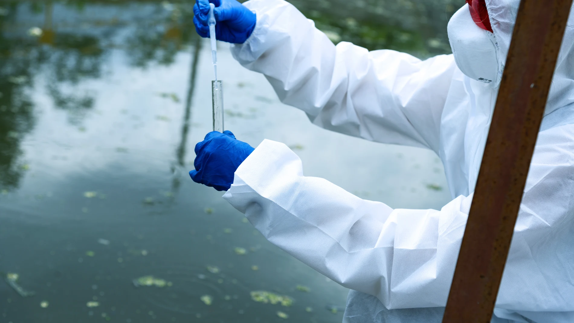 Las depuradoras incluidas en el proyecto VATar-COVID-19 representan aproximadamente el 25% de la población censada en España