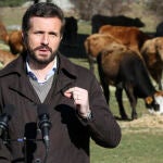 Canela fina | Pablo Casado siempre en su sitio