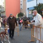 Bendición de animales por la festividad de San Antonio Abad en la calle Sagunt de València