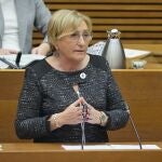 La consellera de Sanidad, Ana Barceló, compareció en Les Corts la semana pasada