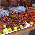 Los insectos solo representan a día de hoy el 1% en la industria de producción de pienso
