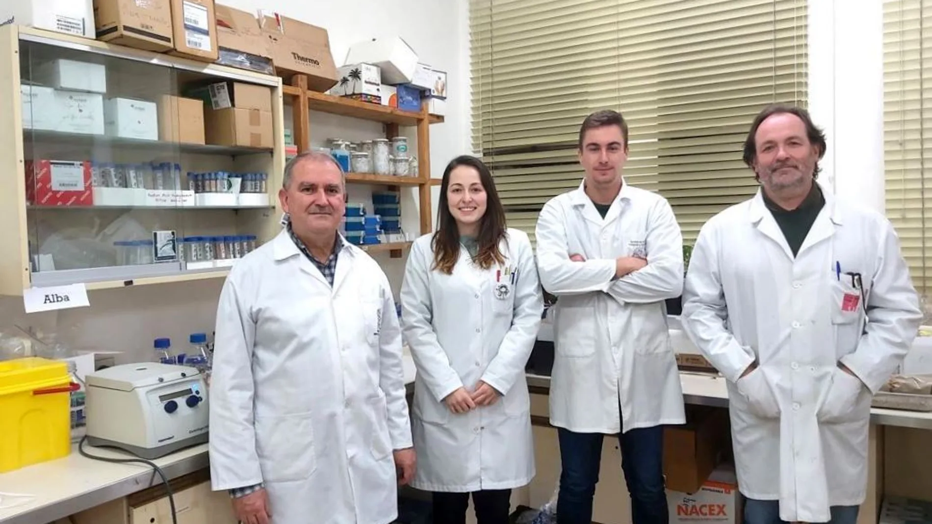 De izda. a dcha. José Luis Acebes, Alba Manga, Carlos Frey y Antonio Encina, los investigadores de la ULE que aportan datos sobre los cambios celulares en el injerto de tomate