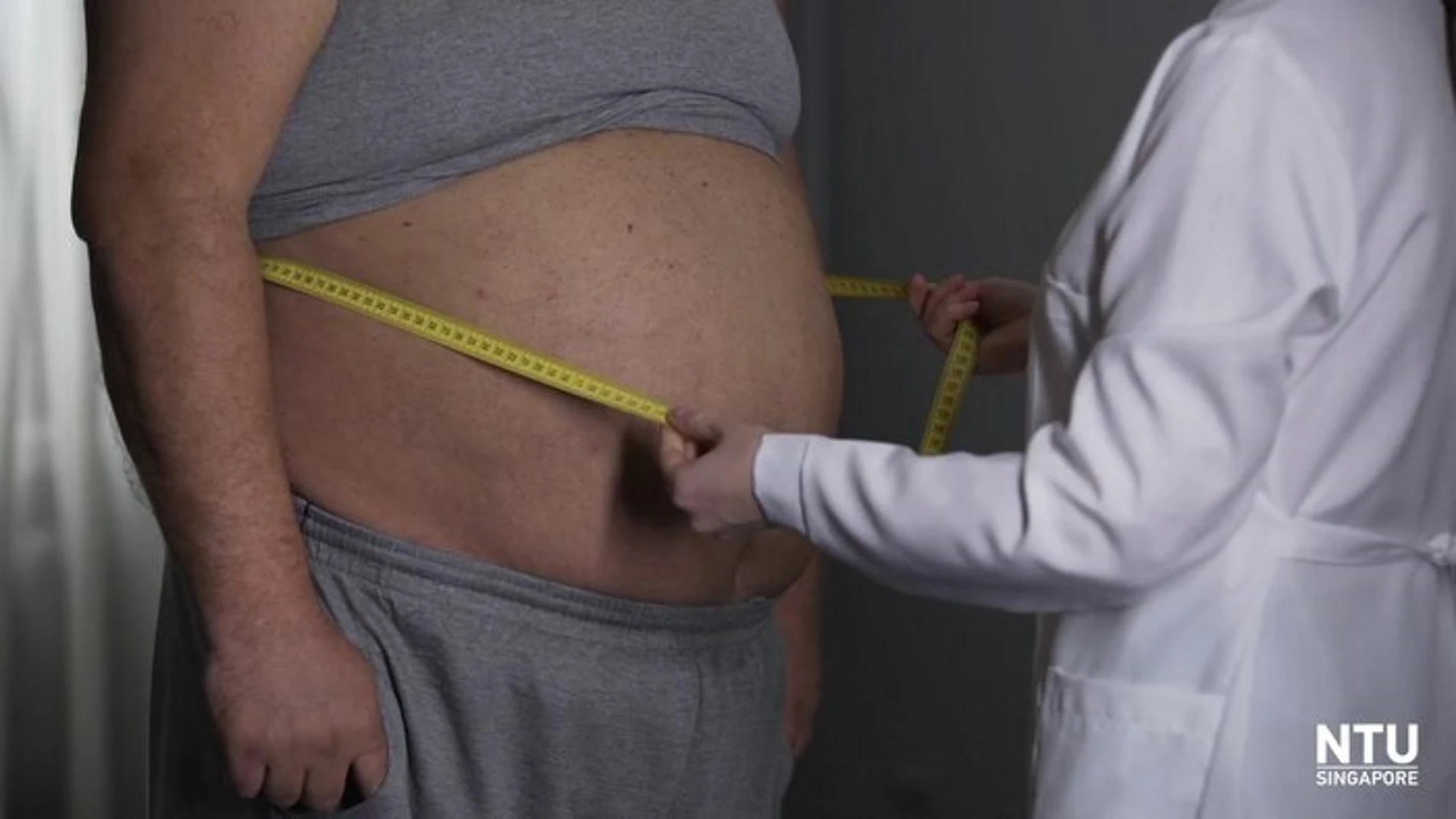 El experimento en ratones ha demostrado que han perdido 40 por ciento de grasa subcutánea, a pesar de tener una dieta alta en grasas