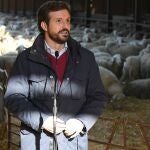 El presidente del Partido Popular, Pablo Casado, realiza declaraciones a la prensa durante su visita a Matadeón de los Oteros (León) pocas horas antes de que comience la campaña electoral en Castilla y León