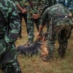 Soldados de las fuerzas para la Defensa del Pueblo en el Estado Karen, en Birmania