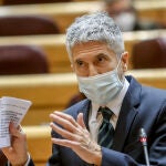El ministro de Interior, Fernando Grande-Marlaska, interviene en una sesión de control al Gobierno, en el Senado, a 1 de febrero de 2022, en Madrid (España)