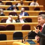 El senador del Partido Popular Javier la calle durante su intervención para defender la moción por la que se insta al gobierno a la reapertura del eje ferroviario Madrid - Segovia - Burgos.