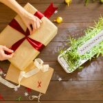 Jardinería de interior automatizada con Click & Grow Smart Garden 3.