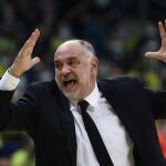 Pablo Laso, en el último partido del Real Madrid en la Euroliga