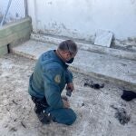 Agente del Seprona con parte de los animales muertos. GUARDIA CIVIL