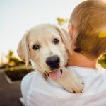 Los perros son las principales víctimas de estos tristes sucesos
