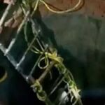 Pozo por el que cayeron las mujeres durante una boda en la India