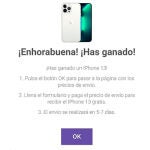 El contacto inicial tiene lugar en Instagram y la estafa se lleva a cabo en una web fraudulenta.