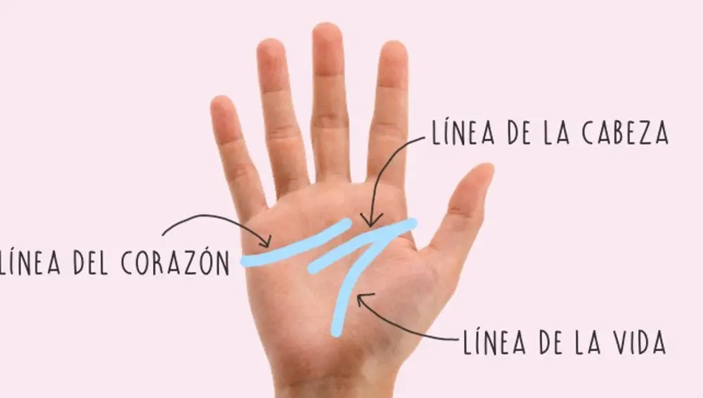 Estas son las líneas mayores de la mano: La línea de la vida, del corazón y de la cabeza | Fotografía de archivo