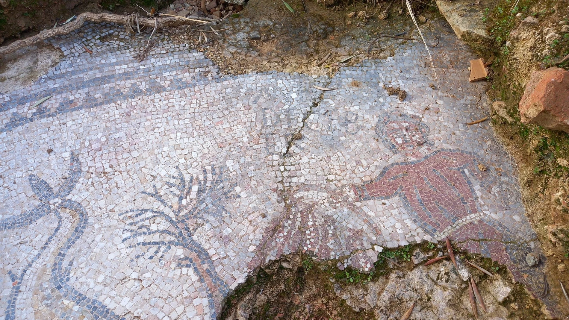 Imagen de una parte del mosaico romano hallado en un olivar de Adamuz