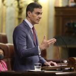 El presidente del Gobierno, Pedro Sánchez, en el Congreso de los Diputados