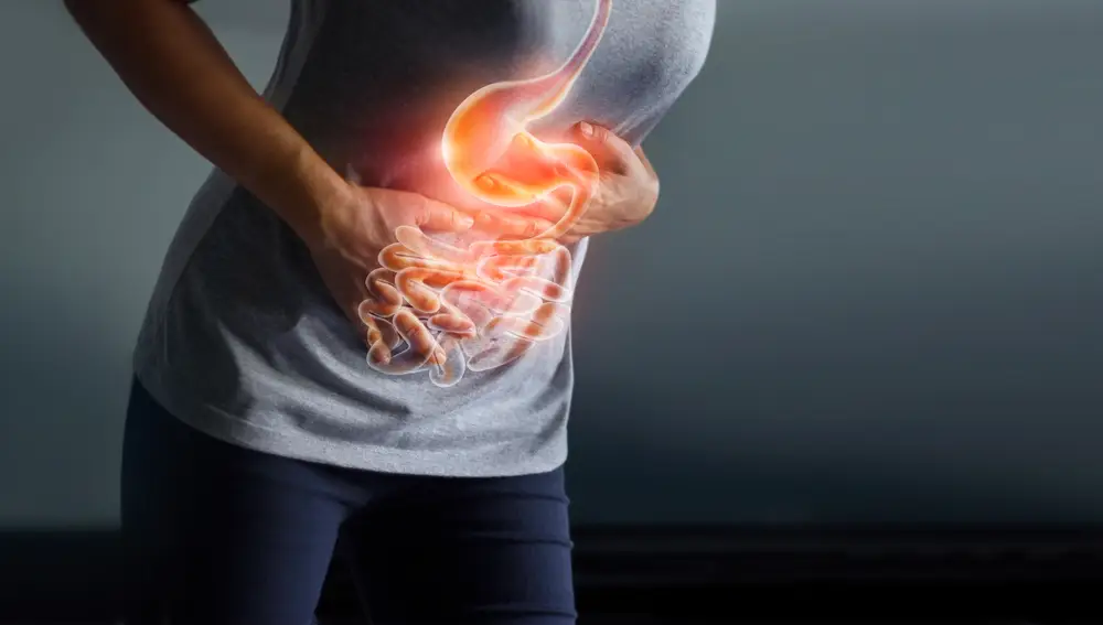 Estrés, dietas pobres en fibras, beber alcohol, fumar o el propio envejecimiento dañan la microbiota