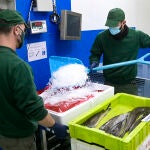 El sector conservero gaditano se está viendo afectado por el escenario económico nacional M. Dylan / Europa Press