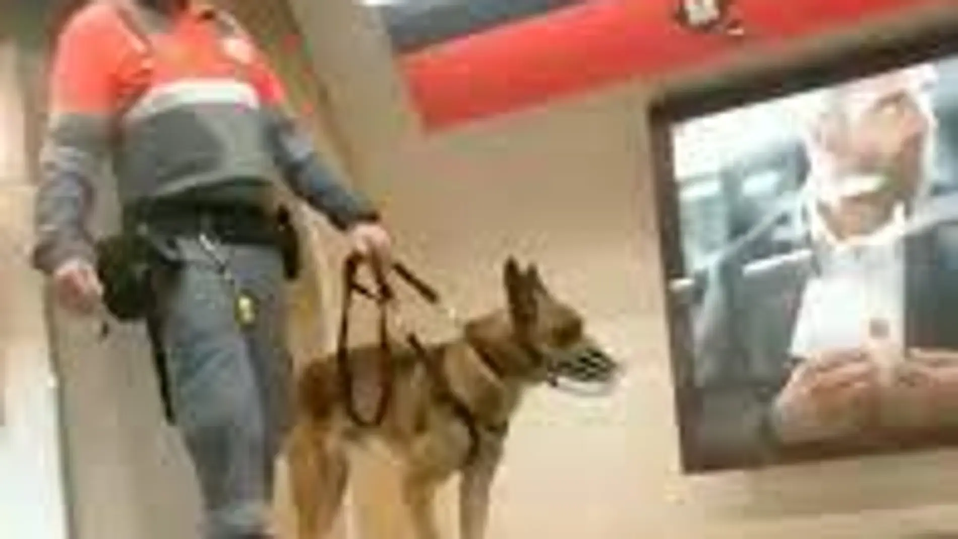 El vigilante de seguridad observa al grafitero