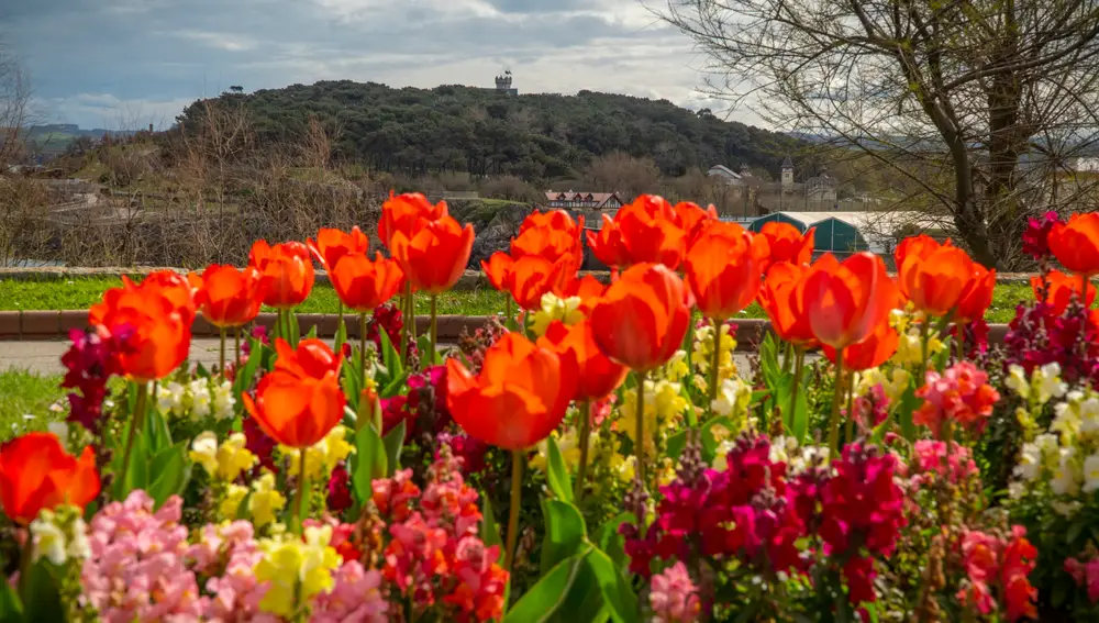 La primavera pospuesta
