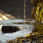 Día Mundial del Agua 2022