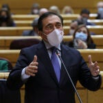 El ministro de Exteriores, José Manuel Albares, interviene durante la sesión de control al Gobierno