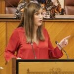 La portavoz adjunta del Grupo Socialista, María Márquez,. ALFREDO DE ANCA/PARLAMENTO DE AN
