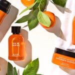 Colección edición limitada Elixir Spring Bloom