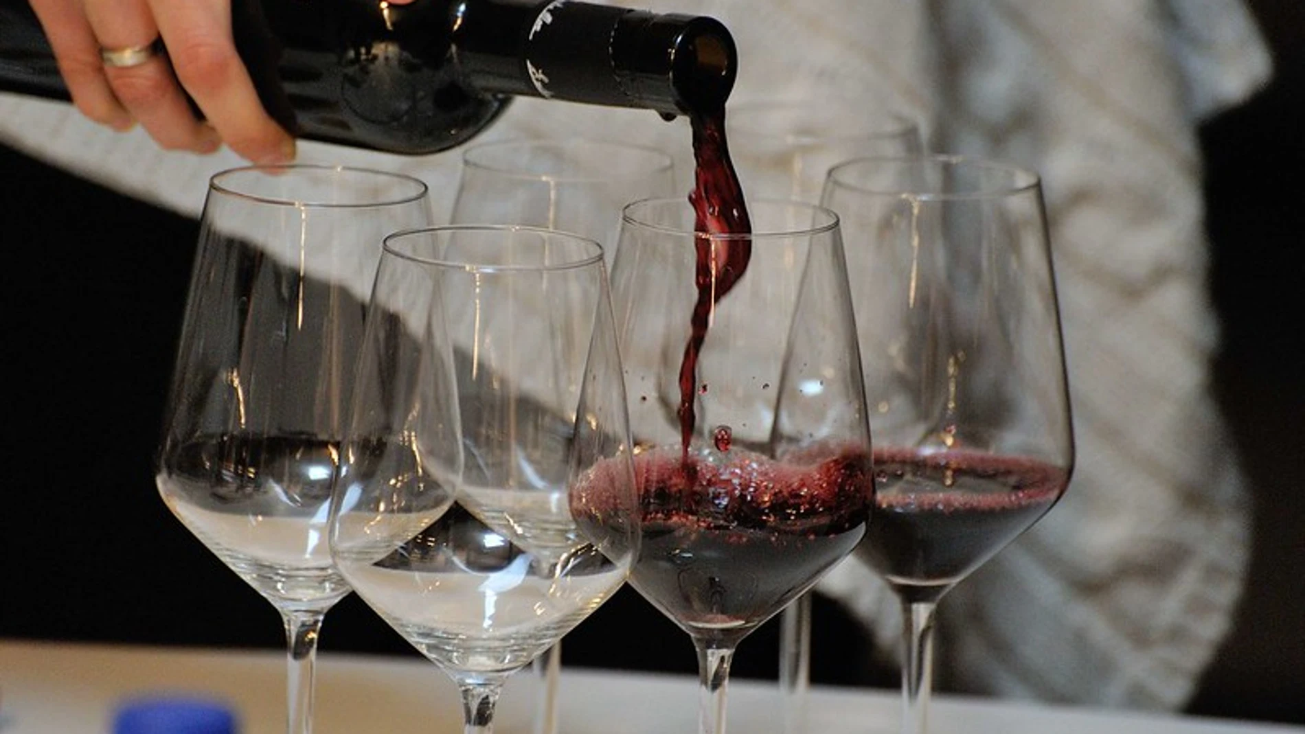 Ribera del Duero celebra sus 40 años de andadura