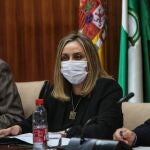 La consejera de Fomento, Infraestructuras y Ordenación del Territorio, Marifrán Carazo
