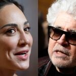 Tamara Falcó contra Pedro Almodóvar