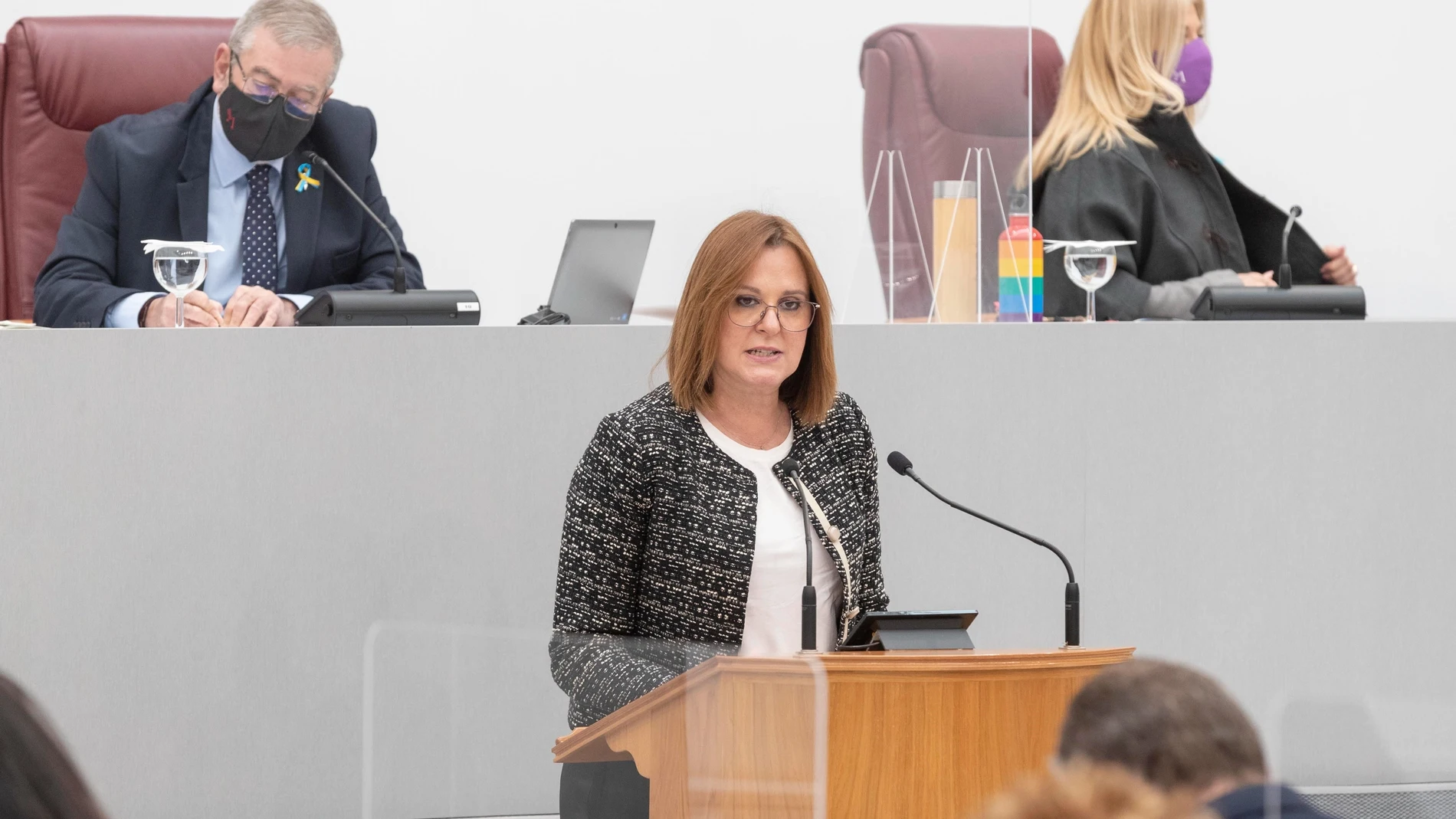 La vicepresidenta y consejera de Mujer, Igualdad, LGTBI, Familia y Política Social, Isabel Franco, comparece en el Pleno de la Asamblea Regional para informar sobre el procedimiento de desplazados de Ucrania a la Región de Murcia