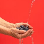 Las personas con párkinson que consumen una dieta que incluye tres o más porciones por semana de alimentos ricos en flavonoides pueden tener una menor probabilidad de morir