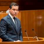 El portavoz del Grupo Parlamentario Popular, Raúl de la Hoz, interviene en el pleno de las Cortes