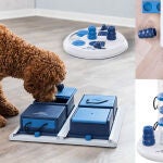 Estos juguetes para perros les ayudan a activar la mente y ejercitar la inteligencia